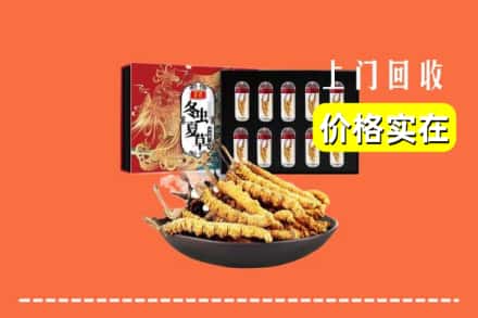 甘孜州德格回收冬虫夏草